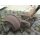 Alko Achse, ca 198cm, Typ B1000-3 H668, 1000kg gebraucht, passend zB Bürstner 530 Typ D122 BJ 85