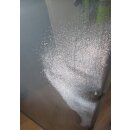 Hobby Wohnwagenfenster Parapress gebraucht ca 143 x 52 SONDERPREIS (ohne Rahmen) zB 610 Prestige D2162 PPRG-RX (Ausstellfenster/Aufstellfenster)