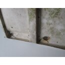 Wilk Seitenteil Gaskastendeckel links gebraucht zB 490 E Stern BJ84 - Sonderpreis - Bugfrontdeckel / Bugklappe / Gasklappe / Flaschenkastendeckel / Flaschenkastenabdeckung