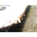 Plattformanhänger 1200kg ca 504  x 208 +136 mit Brief, ZdR 170, Peitz-Achse,  ideal für TINY House, Quad- Zweirad-Maschinentransporter gebr. (Hobby 545 BJ 87)
