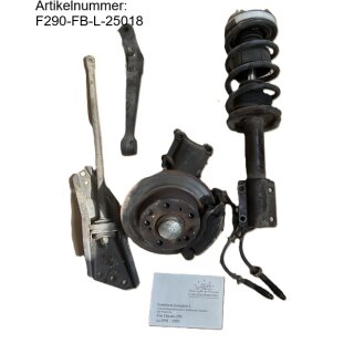 Fiat Ducato 290 Federbeine LINKS gebr, komplett mit Bremssattel / Feder / Radlager / Stoßdämpfer / Radnarbe / Querlenker auch Peugeot J5, Citroen C25, BJ ca 1991 - 1995